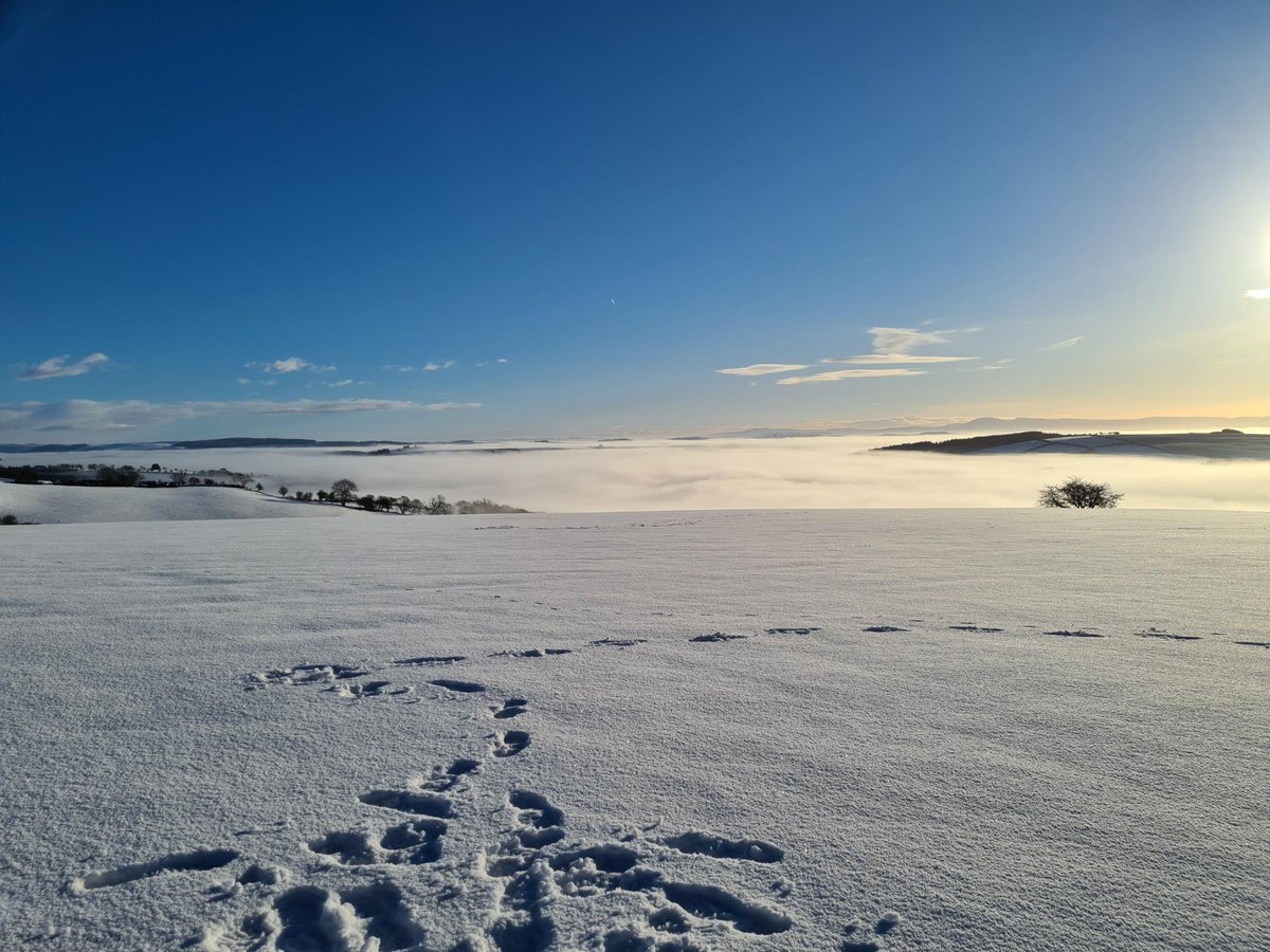 Despite the cold and challenging conditions our teams are carrying on, working safely to ensure our clients projects stay on track.  This stunning image was taken when out undertaking VPS in Mid-Wales #ecology #sustainableenergy #renewableenergy
