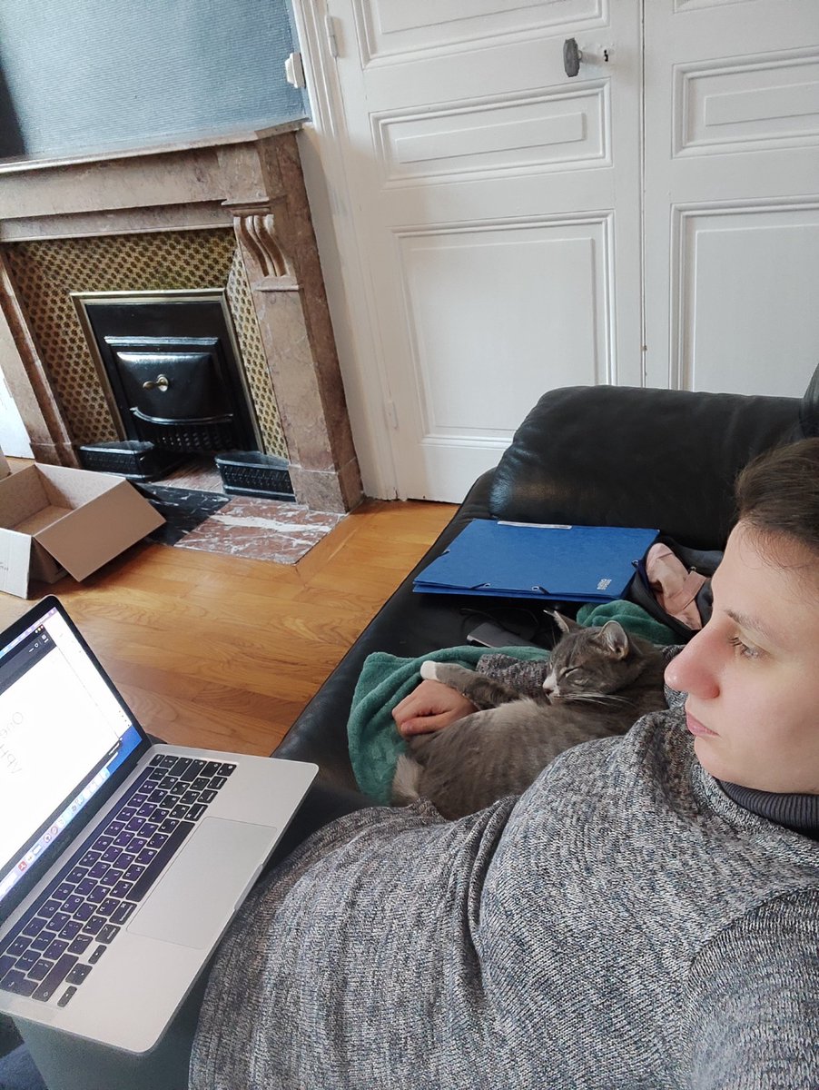 Participating in a #conference virtually is a great way to bond with your #cat. 10/10, would recommend

#AltAcCats #AcademicsWithCats #CatsofTwitter #PhDCats