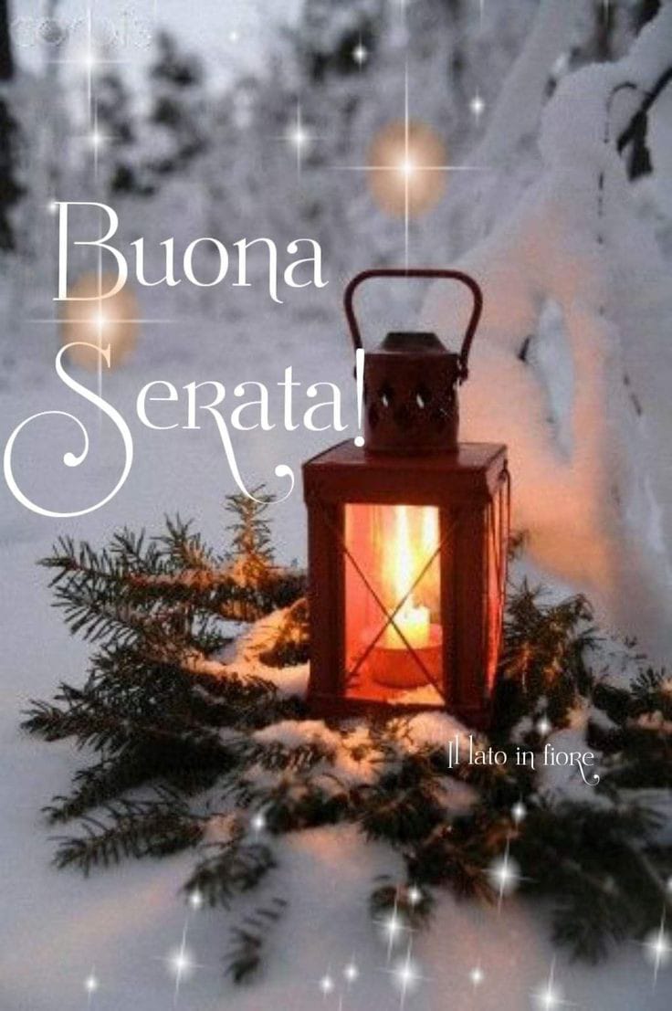 <a href="/ITALOFRANCESE1/">ITALOFRANCESE</a> <a href="/GiuseppePiu1/">Giuseppe Piu</a> <a href="/emmpad2/">Emmanuel Pisani</a> <a href="/LeneLepre/">Lena Lepre</a> <a href="/nuvola1000/">Anna</a> @Fabry08205457 <a href="/PeterWo31671308/">Peter Wolf</a> <a href="/Annroveda/">Anna Roveda</a> <a href="/PIERRETAXINA/">PIETRO</a> <a href="/Claudoc3/">Claudoc 🇮🇹🇦🇷🇬🇷🇺🇸🇬🇧🇦🇺🇧🇷</a> <a href="/ilariomaiolo/">ILARIO MAIOLO</a> <a href="/pasquinamrc/">maria assunta</a> <a href="/MariaLu91149151/">Maria Luisa</a> <a href="/RobertoTraplet3/">Roberto Trapletti</a> <a href="/agnelli_giorgio/">giorgio agnelli</a> <a href="/Elisa34012803/">Elisa</a> <a href="/leoneleone451/">Gianni</a> <a href="/Lorenzxo2/">LorenZxQ 🇮🇹🇨🇭⭐⭐⭐7️⃣ SiamoTuttiGiardinieri</a> <a href="/patrizi98471293/">LELLA CARUSO 💯🌹🌹🌹🌹❤️❤️❤️</a> <a href="/LicitraCarmela/">carmela licitra</a> <a href="/BGrisafi/">Barbara Grisafi</a> <a href="/schumacher_jorg/">Jorg Schumacher</a> <a href="/contessamelensa/">Enza</a> <a href="/Pinuccio6512/">Montana65🇮🇹🇺🇸</a> <a href="/MioWid/">Mio Wid57</a> <a href="/Cagliari701/">Cagliari70</a> <a href="/melannas/">Un caffè dolce amaro</a> <a href="/Diana90907748/">Diana</a> <a href="/Emanuel25891560/">Emanuela</a> <a href="/domenicocuppari/">domenico cuppari</a> <a href="/rochasantospisa/">🇧🇷 maria luiza pisa roc</a> @Ele13121 <a href="/PAOLO30158591/">PAOLO</a> @nessunolau @MariaDery5 <a href="/SONO_IO_DANI/">2@-EX daniela 58820341</a> <a href="/daniela58820341/">daniela</a> <a href="/Mara55607978/">Mara</a> <a href="/danieladeponti1/">danieladeponti🎄MARIA NATALE❤️</a> <a href="/beattrix369/">Grazia2xxx🍀</a> <a href="/_fiorucci/">isabella fiorucci</a> <a href="/cesarinagiusti2/">investigator113</a> <a href="/Giusy15494191/">Giusy</a> <a href="/nuccia20/">Nuccia Invernizzi.</a> <a href="/riccardotani4/">riccardo tani 🇺🇦 in 🇪🇺</a> <a href="/confusa11/">confusa11.</a> <a href="/ROMA24687320/">ROMA</a> <a href="/FraterVentus/">mauro_marconi</a> <a href="/Dani65Spini/">Daniela Spini</a> 🤣🤣 buona serata a te e a tutti gli amici ❤️