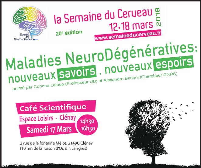 SDC_Dijon's tweet photo. #SDC2018, c'était..
un #CafeSciences #MaladiesNeurodégénératives avec Pr Benoit Delpont du @CHUDijon et @LBretillon @INRAE_BFC_Dijon 

et des rencontres chercheurs/public lors d’un #Experimentarium spécial #cerveau 🧠 @ReseauExpe 

Orga: @AlexBenani C. Leloup et C. Biguzzi https://t.co/t0YpSuybeY