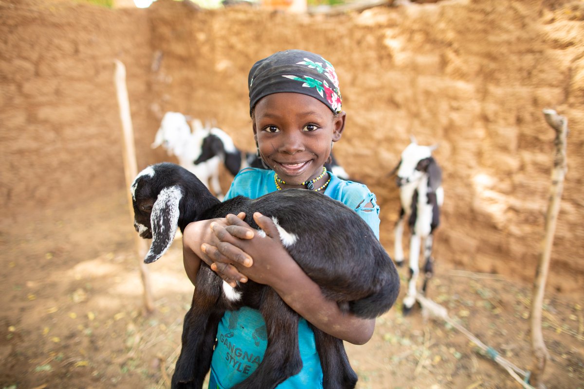 SPI_UK's tweet image. Our feel-good Friday moment comes from the Livelihoods project. You can give a goat to a family in need.
Read more about why goats are a big deal: sampur.se/3H2E6H8 

#livelihooodproject #charity #friday