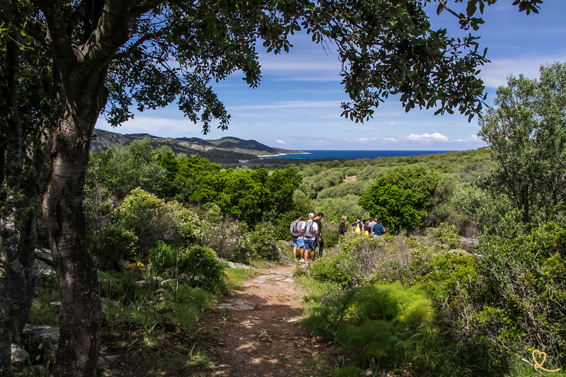 Sonia Colpo Scherer tweet media