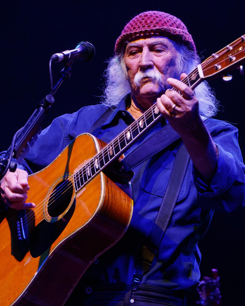 Aileen Lyons🐈🐯🐲🌺🎭💖🐾🎯🎶 tweet media