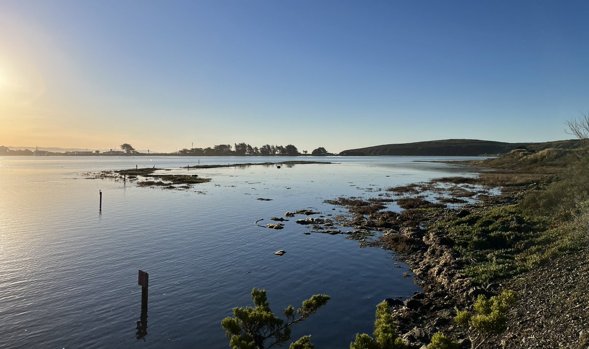 Where did it go? The bar-built marsh on Gaffney Point completely submerged by spring high tide this morning