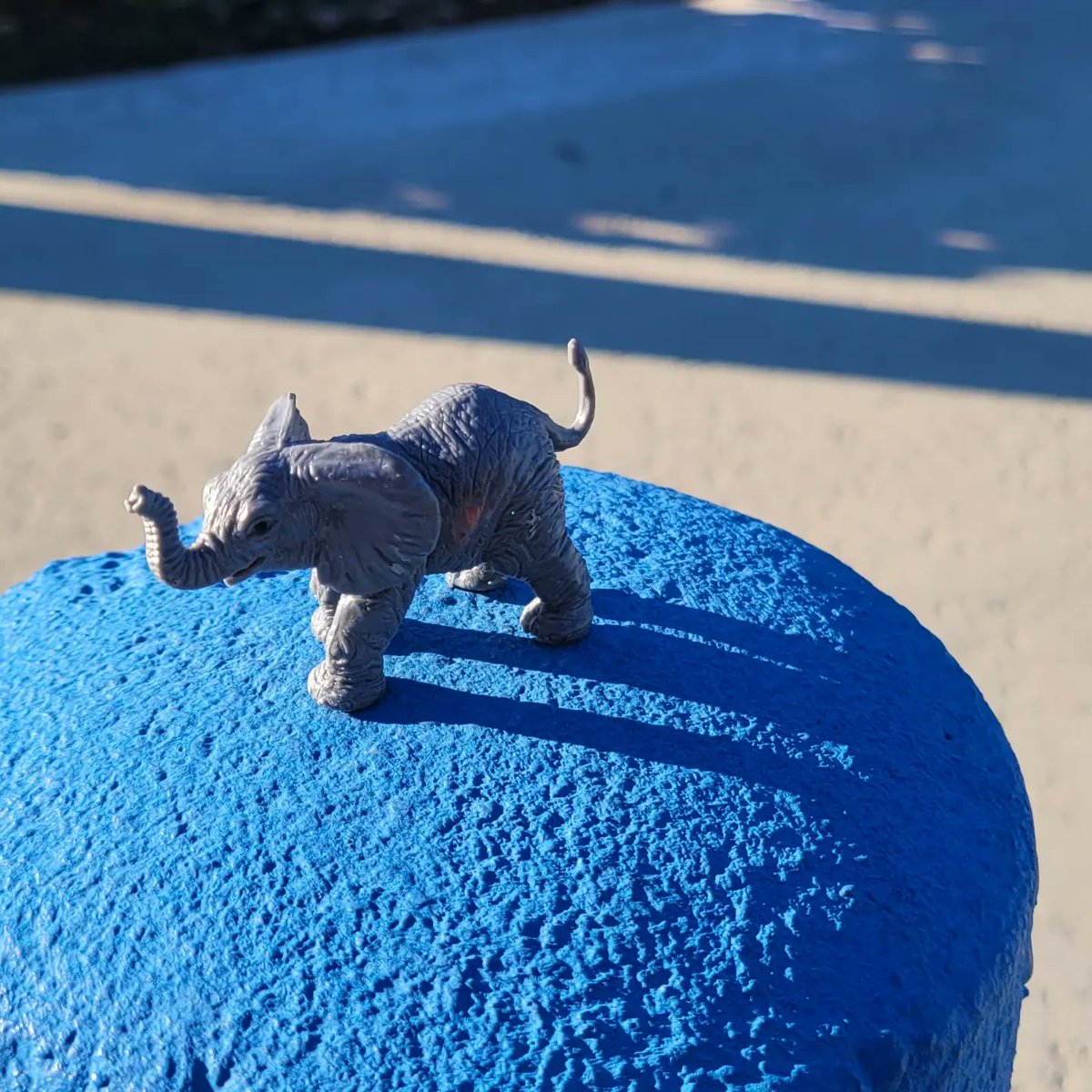 djplanetmars's tweet photo. Session III of our RELA is today at Goodwill Industries. Our theme today is non-profit organizations. Found this little dude out front of the building. They say elephants bring good luck and positive vibes. Small messages from up above!

#Leadership #buildingcapacity https://t.co/wK8cFZ14Ji