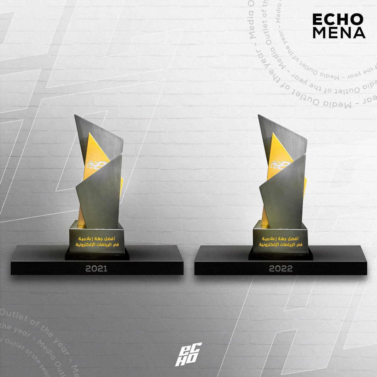 إيكو مينا | ECHO MENA tweet media