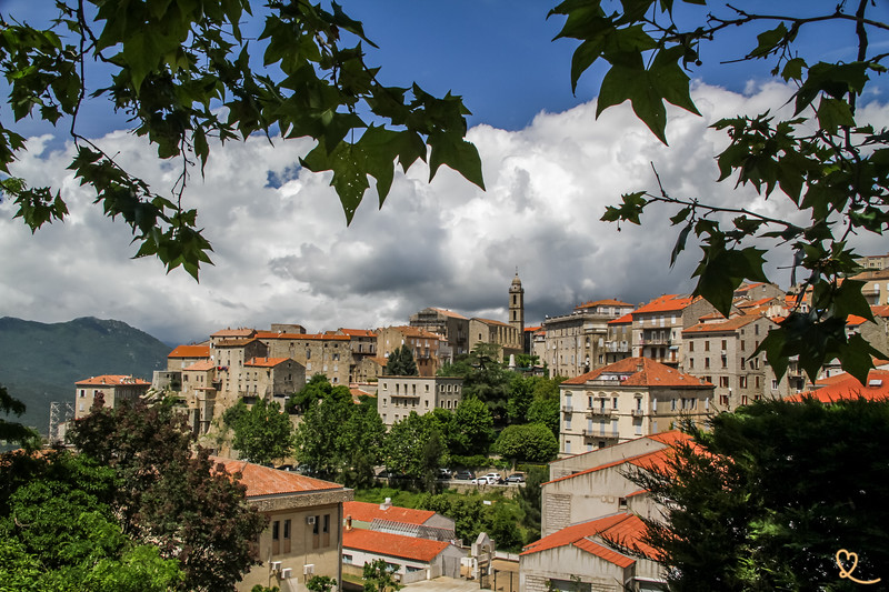 Sonia Colpo Scherer tweet media