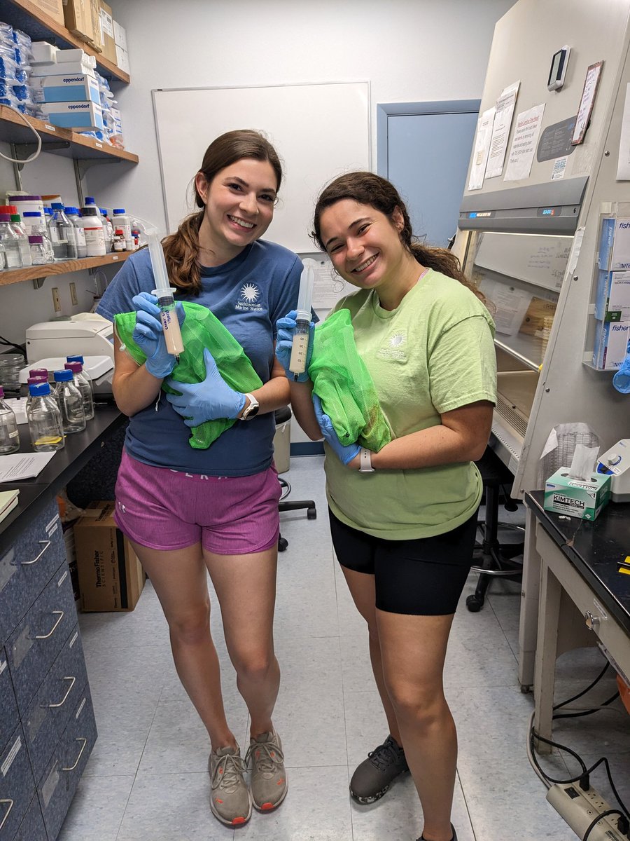 The Coral Health and Marine Probiotics Lab tweet media