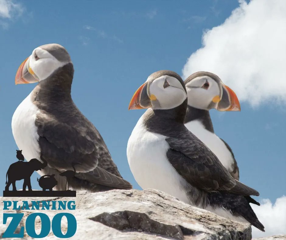 Too busy during tax season to get your new plans and plan updates done? The Zoo Crew is here for you! Check out how we make your life easier.
buff.ly/3TmFz0f