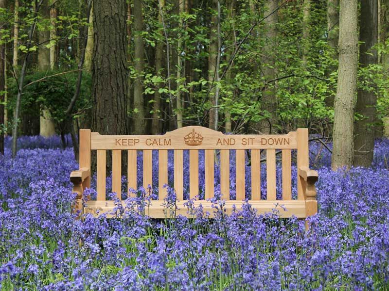 gfcuk's tweet photo. Create your own personalised bench with our laser engraving service!

Click the link below to read about the laser engraving service on our blog post written by our content developer Victoria: 

https://t.co/JkmgCgGYKm

#laserengraving #engravedgardenbenches #engravedwood https://t.co/bddFH0eGbM