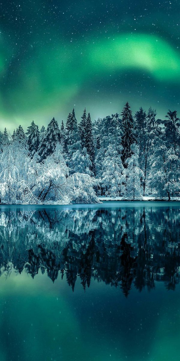 NordicImages's tweet photo. @WomenPostingLs https://t.co/Br6NDnmaDy