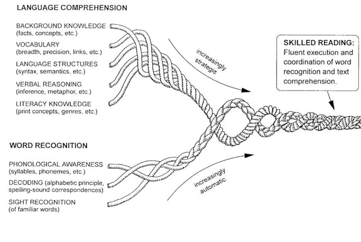 Scarborough's reading rope: it portrays word recognition happening first &amp; then combining with language comprehension to produce skilled reading. However, word recognition often cannot be completed without accessing language comprehension. So the ropes are shown joining too late!