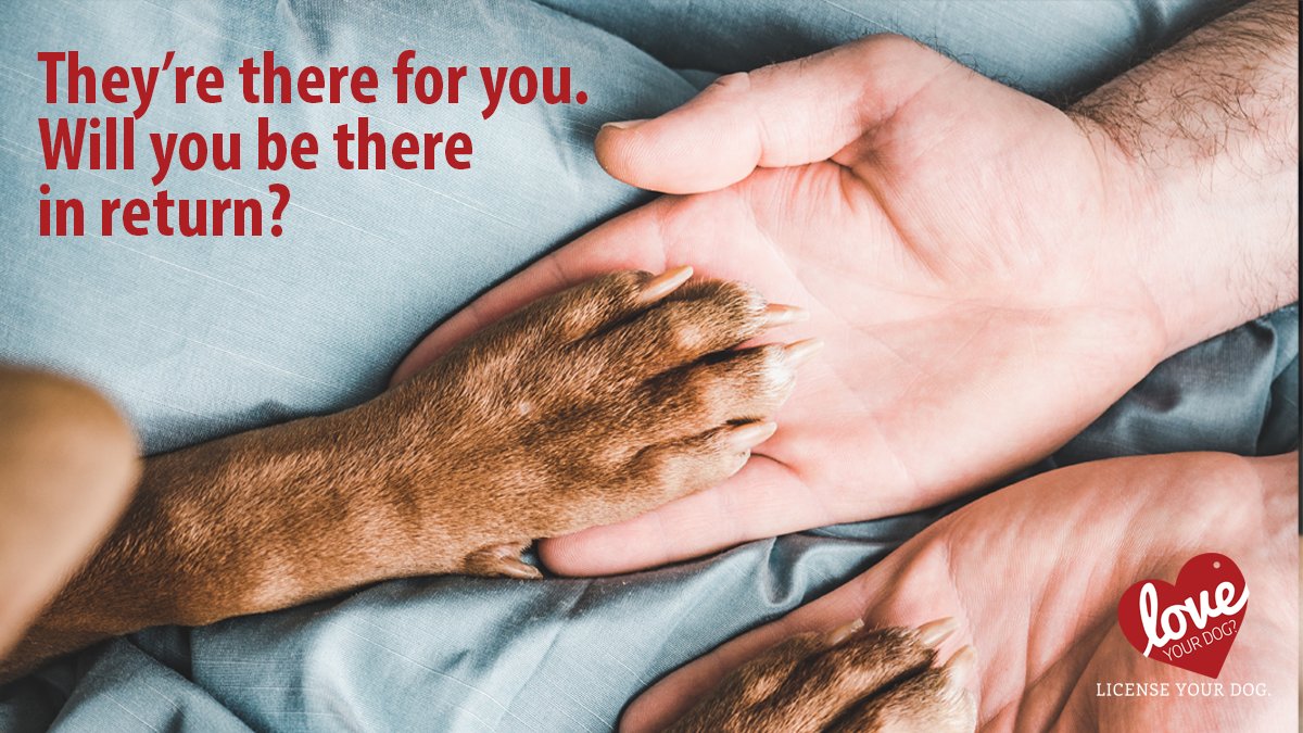 PAAgriculture's tweet image. By licensing your dog, you are being a responsible pet owner. Do it for them, do it for every dog in PA.

Having a dog license is the best way to bring them home if they get lost.