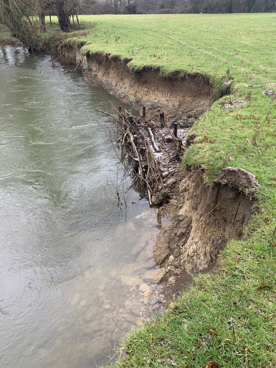 morris_dewi's tweet photo. Remarkable floodwater resilience shown by our farmer led mechanically installed revetmnt but alas our hand driven section has had its brash removed @severnrivers @slowtheflow_UK @WGRural @NatResWales #NFM #rivers https://t.co/kYIzcx3vnM
