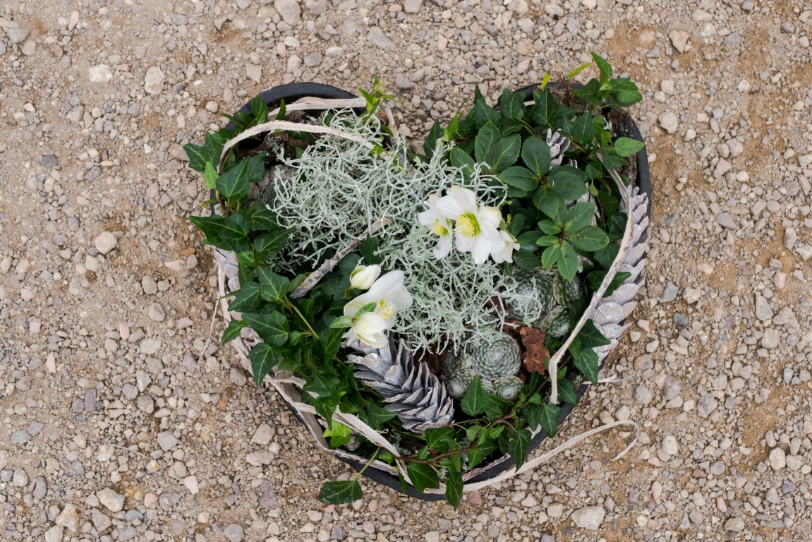 🌼 Your monthly update with curated flower sector news from FLORINT: 

-> mailchi.mp/florint/news-f…