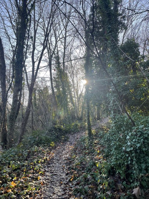 Jake Berger (@jakeberger) on Twitter photo #Brockley Nature Reserve open TOMORROW SATURDAY 21st Jan from 12-3.
<a href="/Broc_Soc/">Brockley Society</a>
<a href="/BrockleyCentral/">Nick Barron</a>
<a href="/Love_SE4/">@Love_SE4💙</a>
<a href="/se4_bot/">SE4 Tweets</a>
<a href="/LDN_SE4/">London SE4</a>
<a href="/lewishamledger/">THE LEWISHAM LEDGER</a>
<a href="/telegraphhillc1/">telegraphhillcentre</a>
<a href="/ThAssembly/">The Hill Telegraph</a>
<a href="/THfest/">Telegraph Hill Fest</a> #Brockley Nature Reserve open TOMORROW SATURDAY 21st Jan from 12-3.
<a href="/Broc_Soc/">Brockley Society</a>
<a href="/BrockleyCentral/">Nick Barron</a>
<a href="/Love_SE4/">@Love_SE4💙</a>
<a href="/se4_bot/">SE4 Tweets</a>
<a href="/LDN_SE4/">London SE4</a>
<a href="/lewishamledger/">THE LEWISHAM LEDGER</a>
<a href="/telegraphhillc1/">telegraphhillcentre</a>
<a href="/ThAssembly/">The Hill Telegraph</a>
<a href="/THfest/">Telegraph Hill Fest</a>