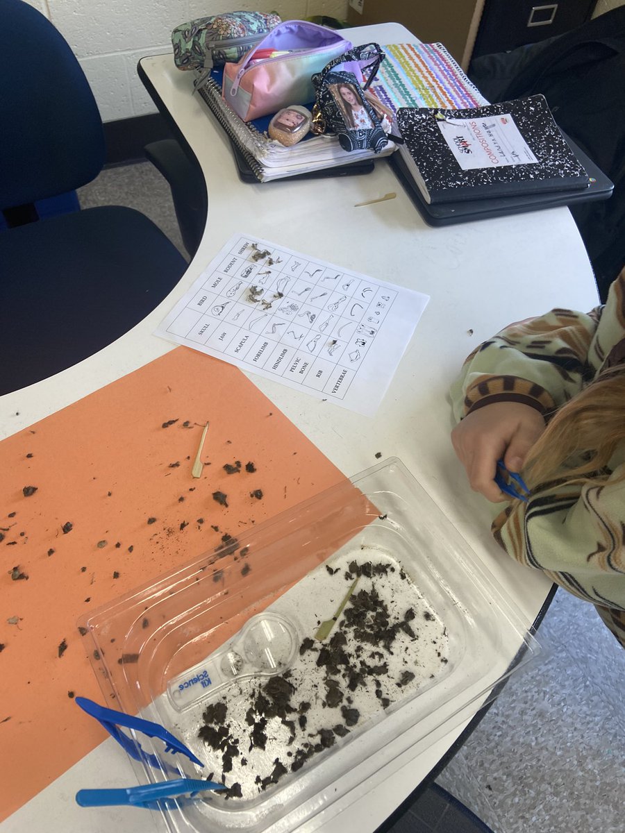 WHO knew we could have so much fun learning about an Owl’s place in a food web with our pellet dissection lab!? 🦉#reutterrocks