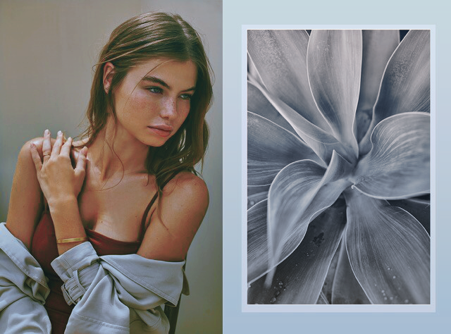 Daphne Schrödinger tweet media