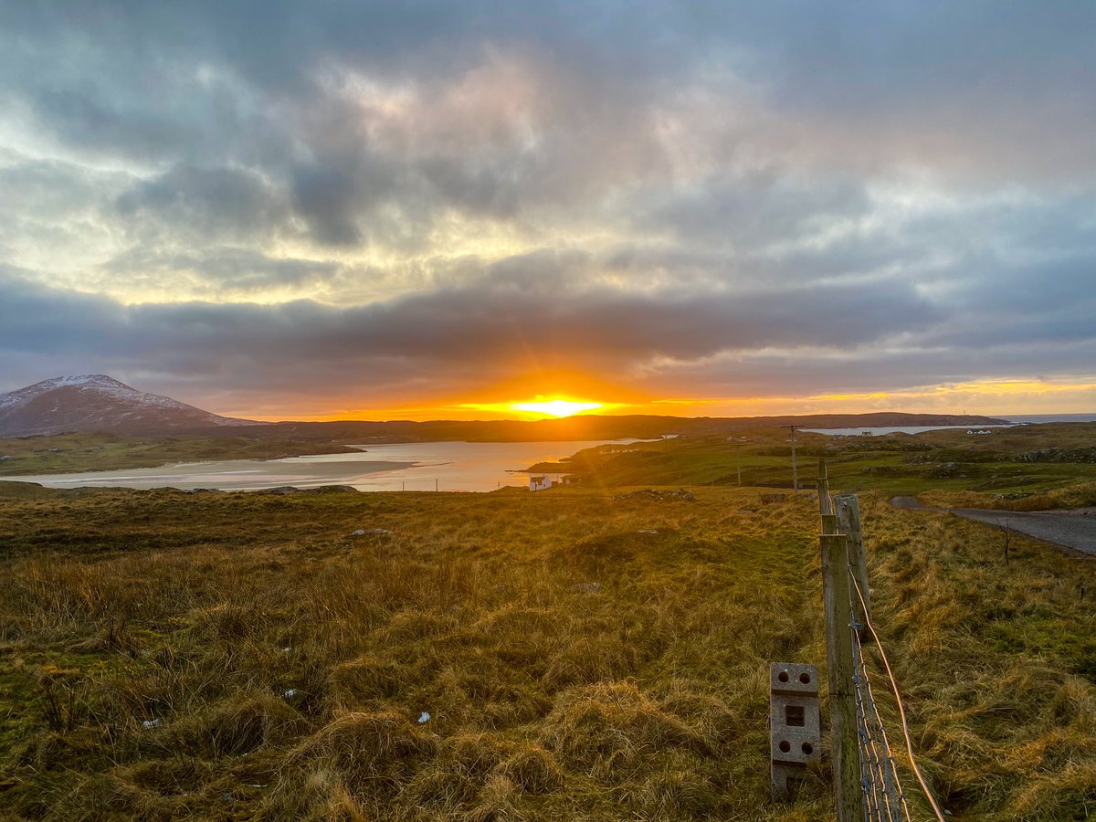 Stacey Macdonald tweet media