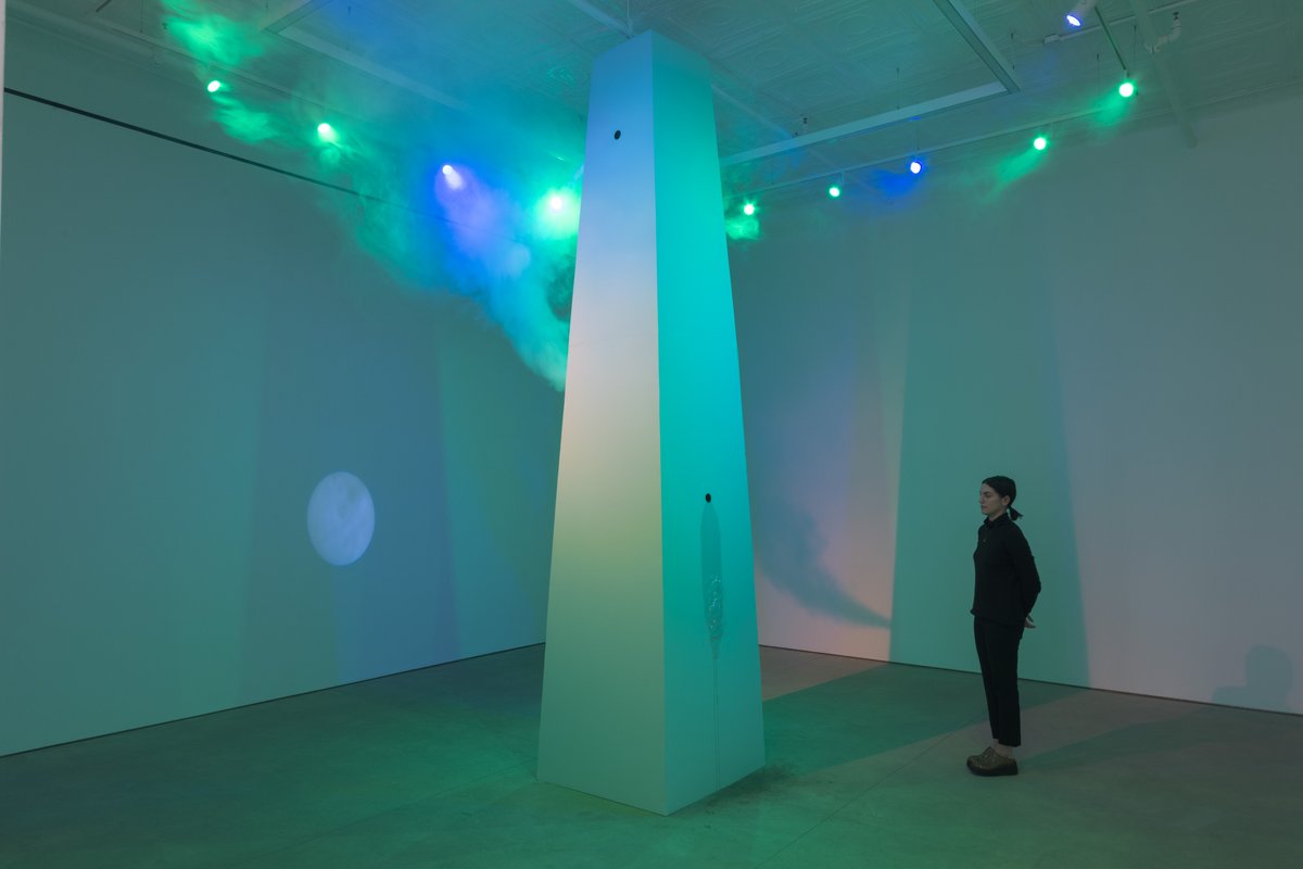 P·P·O·W tweet media