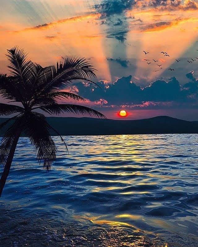 Sonia Colpo Scherer tweet media