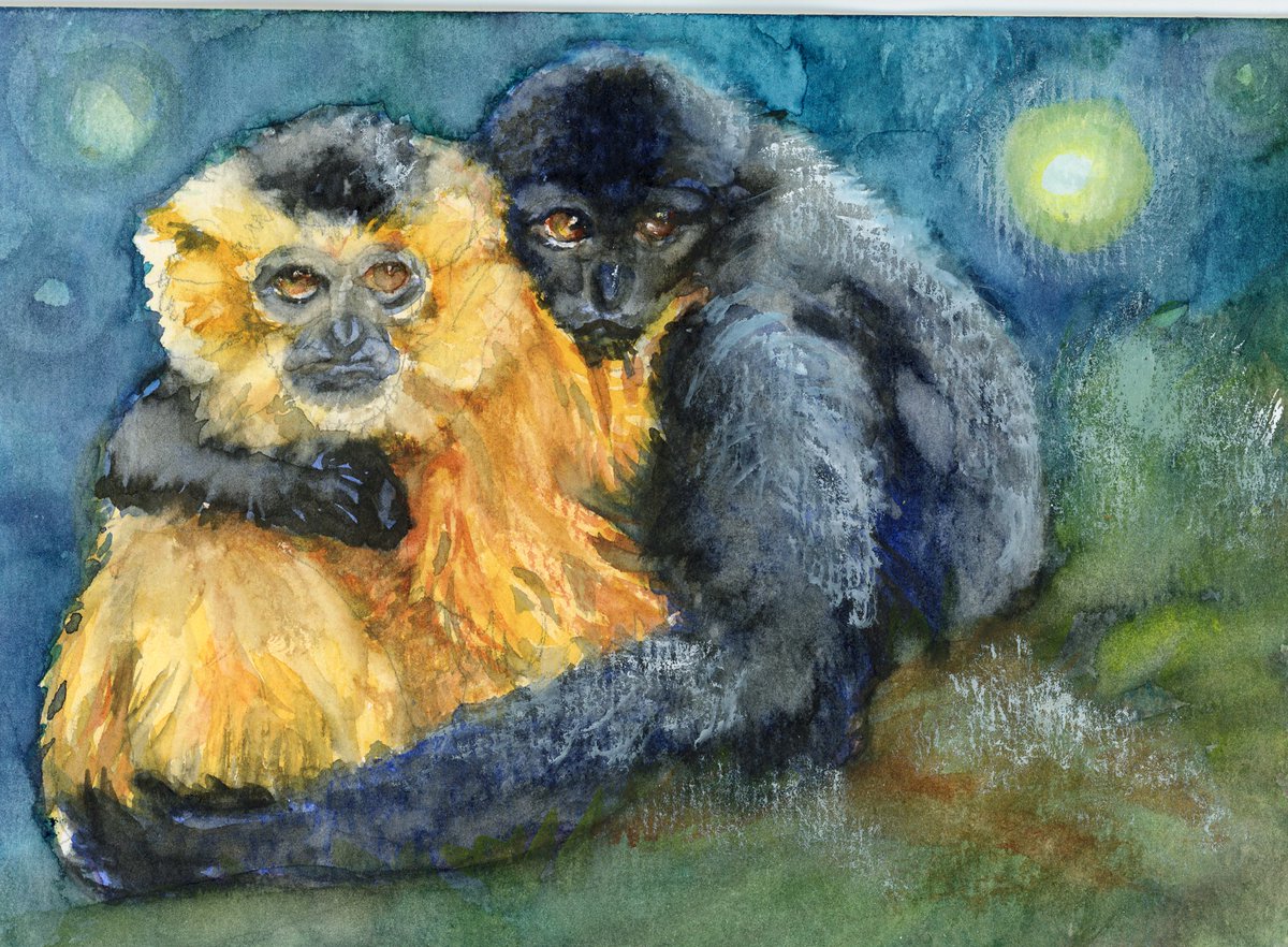 LifeImitatesDdl's tweet image. #DoodlewashJanuary2023 prompt:  Comforter. The best comforter is a hug! Did you know that gibbons start the day singing, often in duets? Photo reference by rabedirkwennigsen on Pixabay. #paulrubensart @Hahnemühle_USA @Hahnemühle FineArt #Doodlewash #WorldWatercolorGroup
#tgibbon