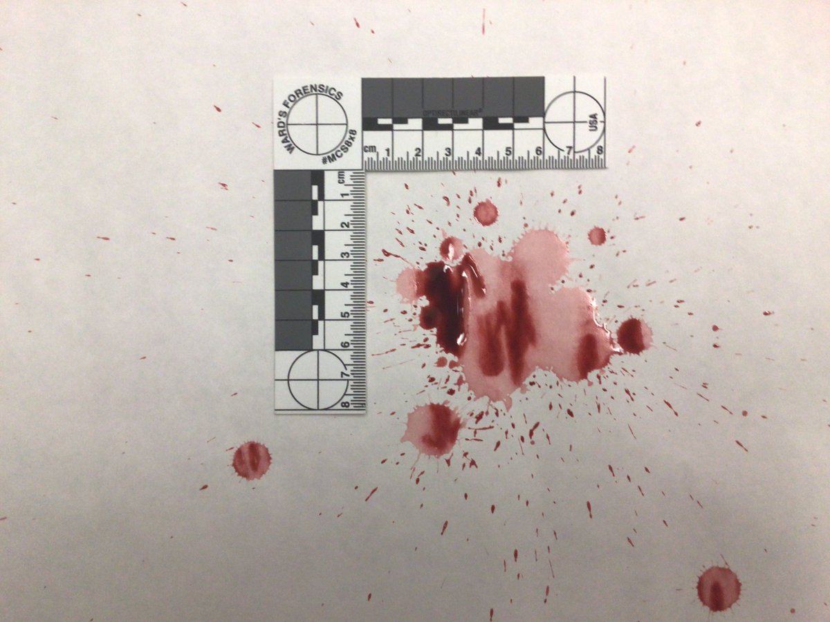 antkow_ahs's tweet image. I loved watching how engaged students were during their mock crime scene final exam. ❤️ is full! Going to miss these rockstars! @troy_athens #whodidit #itwas… #takeforensicscience