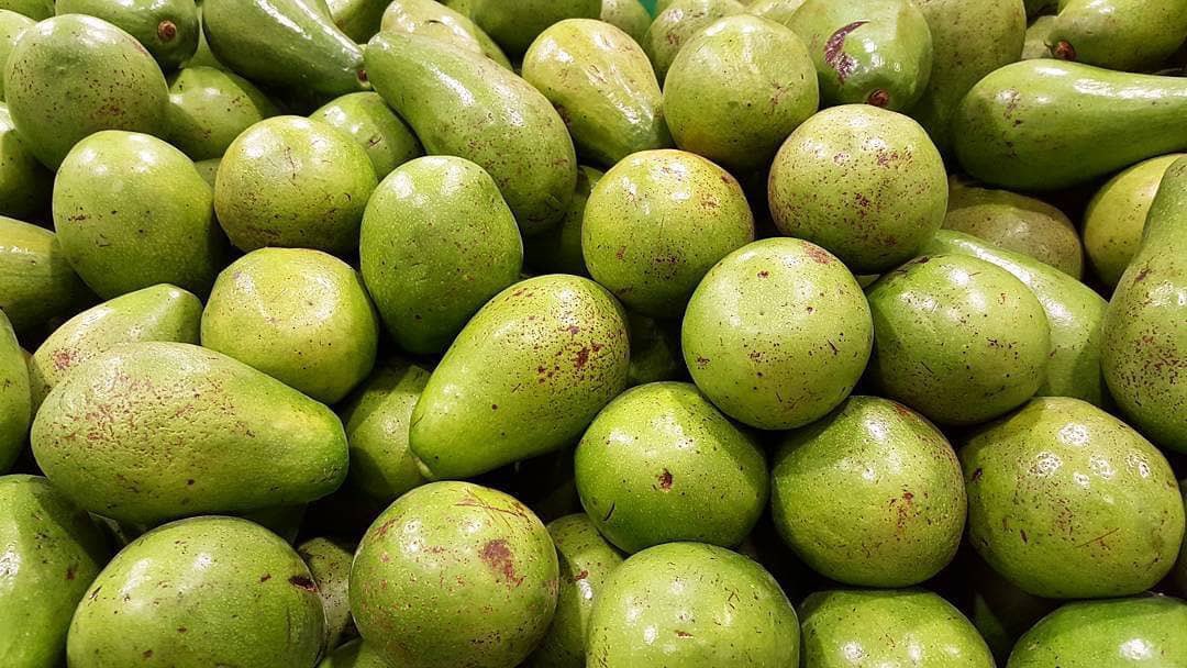 EnterateCali's tweet photo. Existen dos tipos de personas: ¡Las de corazón puro que nos gusta el aguacate🍐 y las que no! 😅
Gracias a @anau13 por antojarnos a todos en #EnterateCali #CaliColombia https://t.co/wQ7rSlTNDH