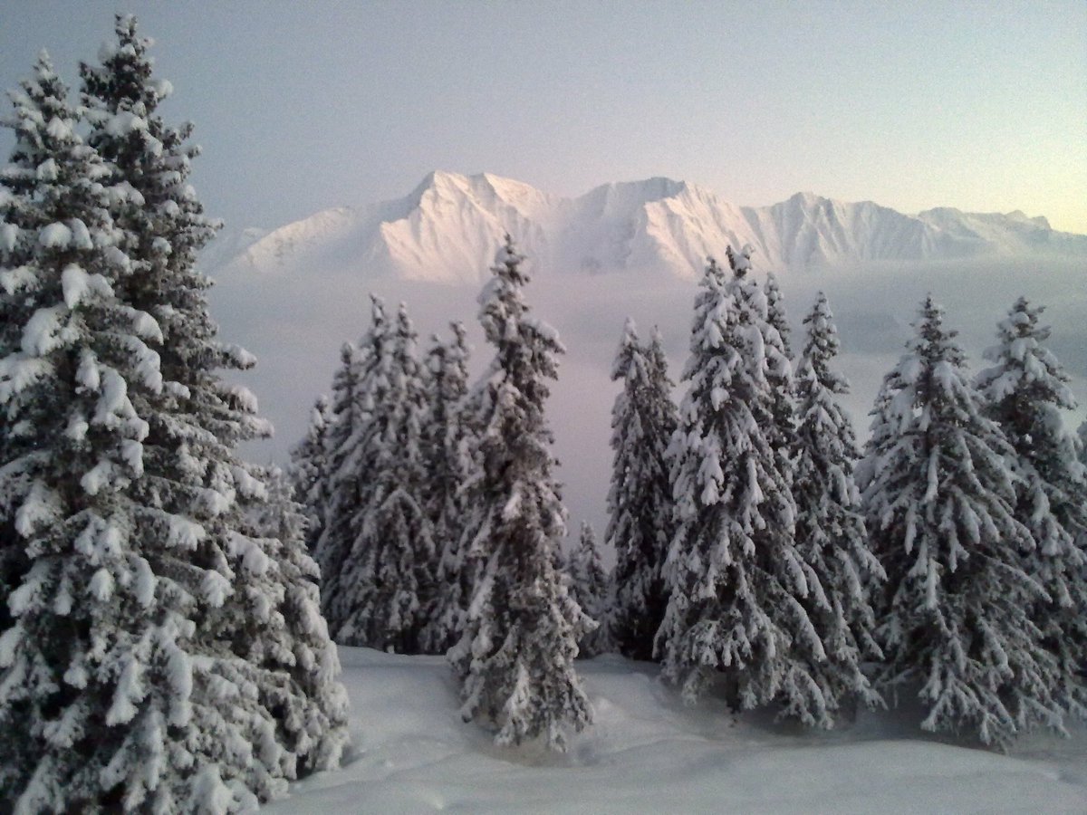 #WinterWeather #snow #Aletscharena #Wallis #Swiss #Switzerland #sneeuw #balconywithaview #winterphotography #Samsung #samsungphotigraohy #PhotoChallenge2023January #NaturePhotography #fotodeldía #fotografie #FotoDelDia #WinterVibes