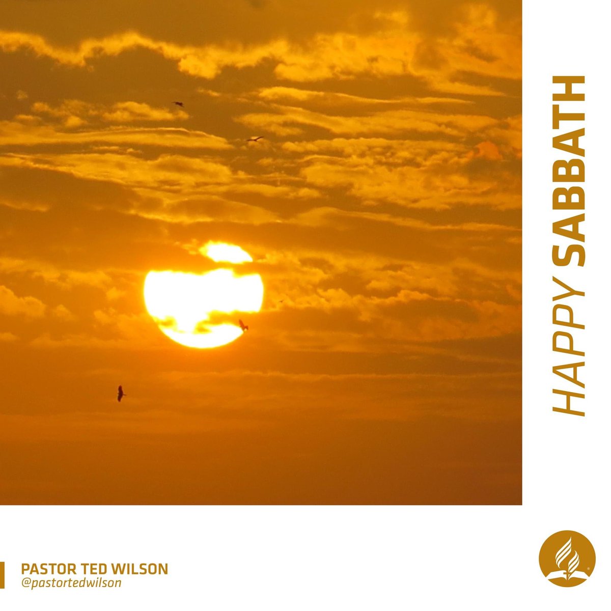 pastortedwilson's tweet photo. Happy Sabbath!

#Sabbath #HappySabbath https://t.co/Tj0N2LJS0V
