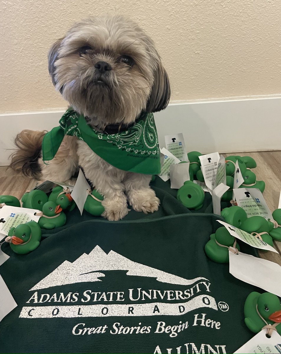 adamsstate's tweet photo. We celebrate Grizzly Green Friday today with a cute dog. What could be better? Show your support for cute dogs and Adams State by wearing your grizzly green today! #GrizzlyGreenFriday #ThisisAdamsState #AdamsStateGrizzlyGreen https://t.co/n5Rg1267vF