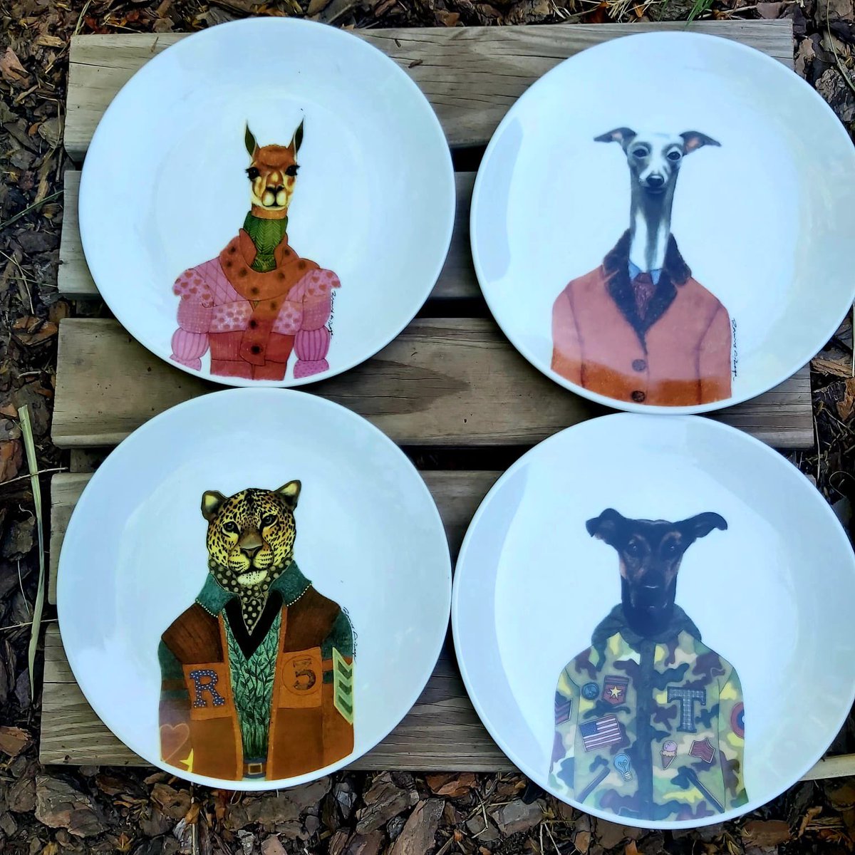 Los platos que se vienen!