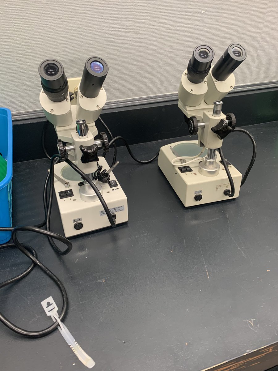 Ms. Colon’s classes are studying particle pollution on campus. <a href="/fpchs/">Flagler Palm Coast High School</a> Environmental students getting hands on this Friday!  #whyFPC