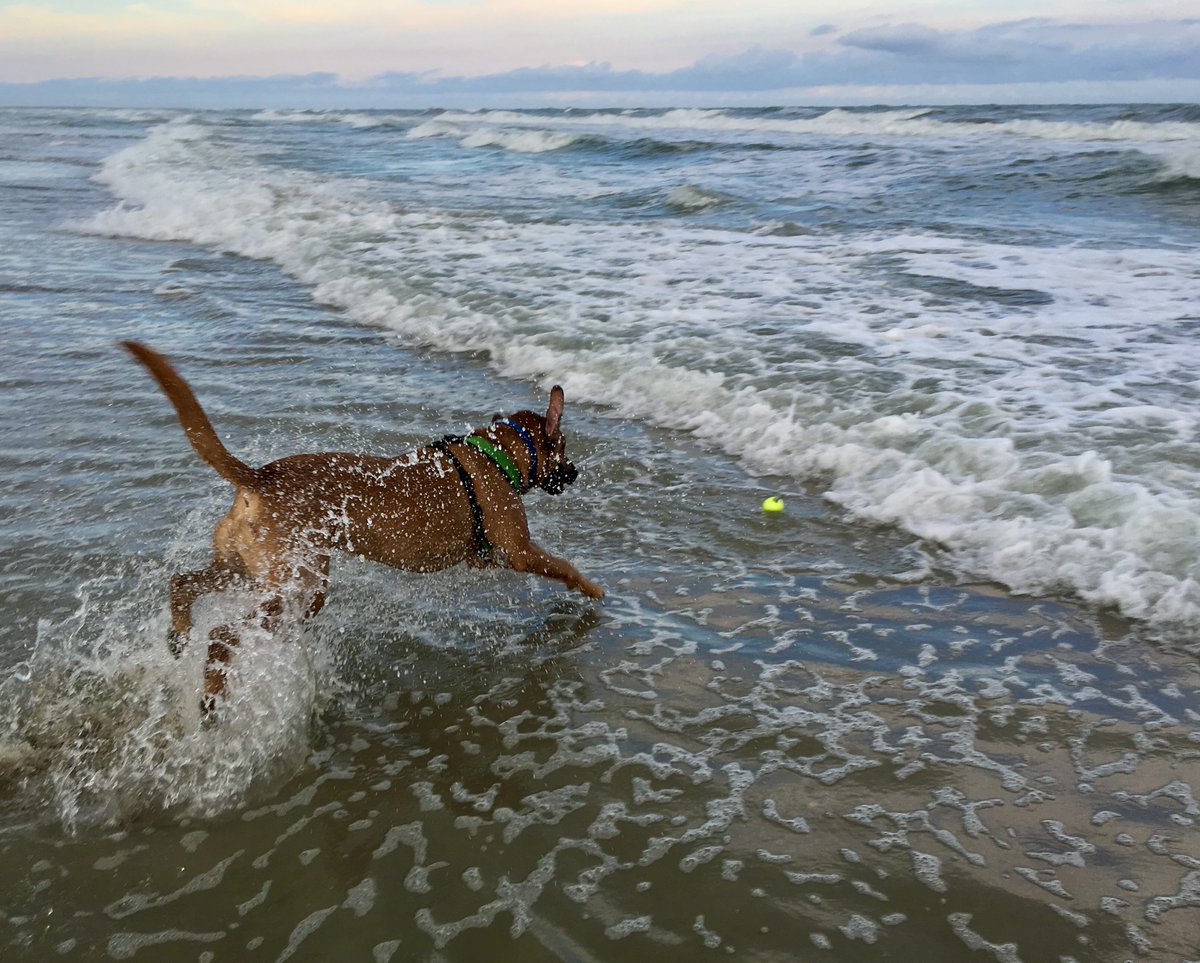 ClickandPledge's tweet image. Eyes on the prize! 

#ProjectOcean #clickandpledge #clickandpledgefoundation