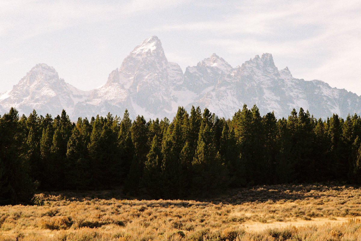 bradmbaldwin's tweet photo. Early October 2019 in the Tetons from a roll of ColorPlus 🎞️ https://t.co/BpIOL8efho