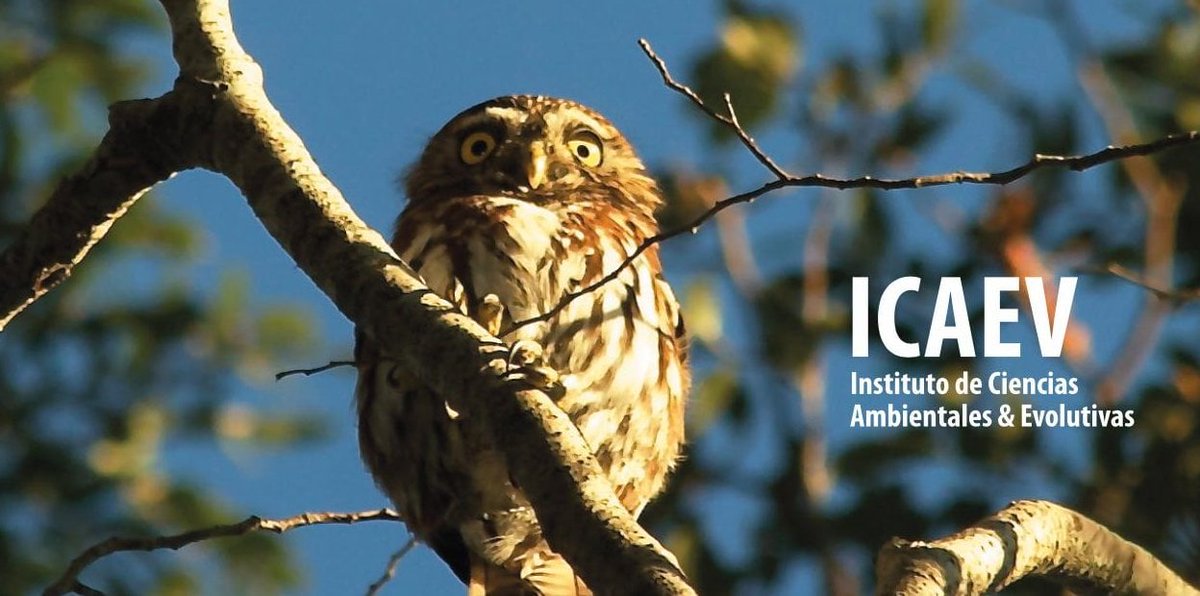 Felicitaciones a Carla Marchant, académica del <a href="/ICAEv_UACh/">Instituto de Cs. Ambientales y Evolutivas (UACh)</a>, que se adjudicó un proyecto FONDECYT Regular 2023!

De igual forma, Alejandra Zuñiga-Feest y Sergio Estay del ICAEv, participan como co-investigadores en propuestas que también fueron seleccionadas en dicho concurso 👏