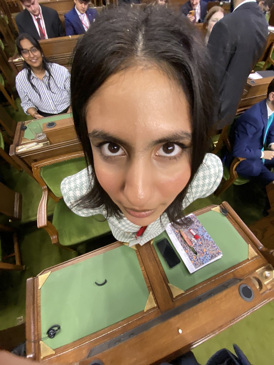 the rizz honourable caucus (official) tweet media