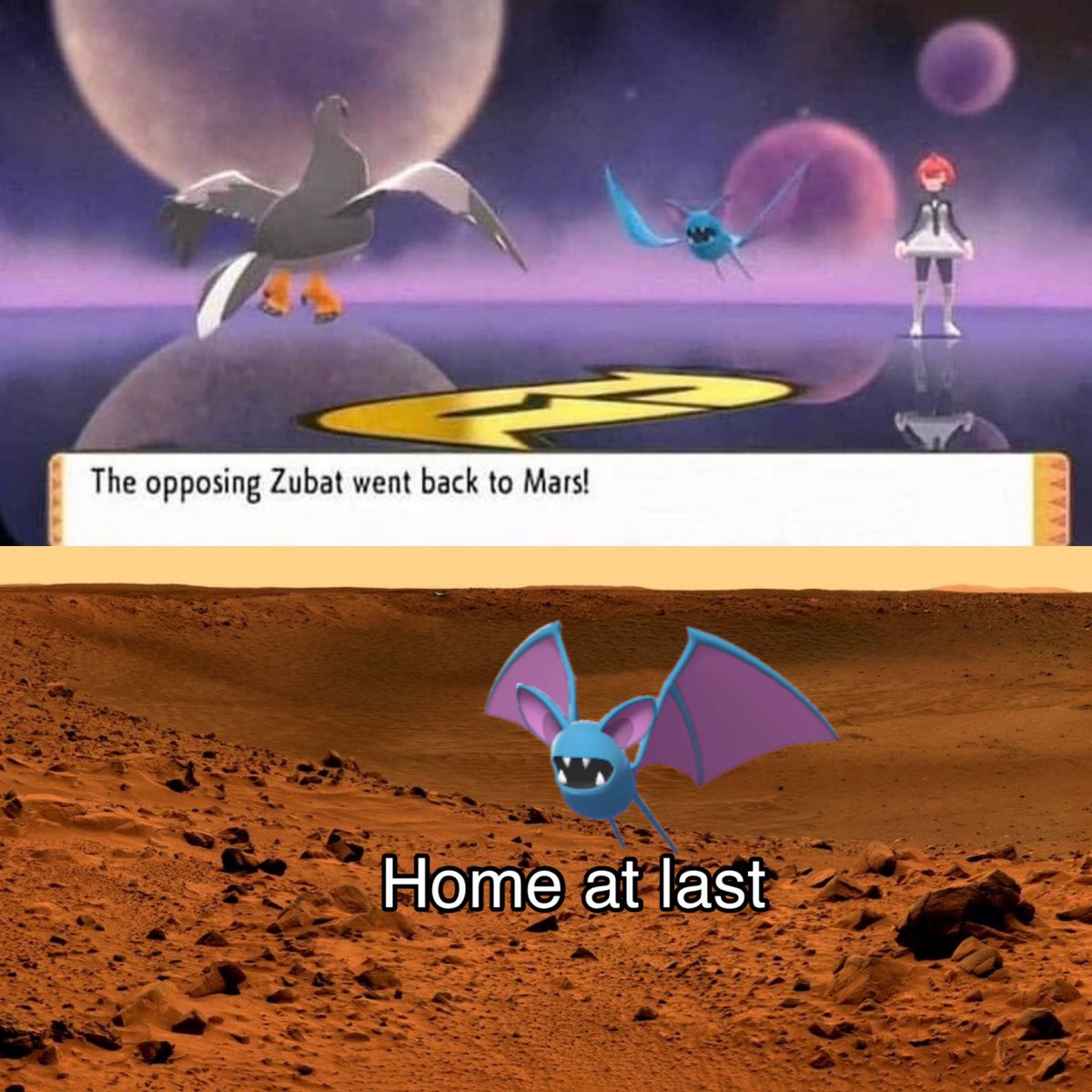 PokemonGems's tweet photo. https://t.co/r6EEZljaFF
