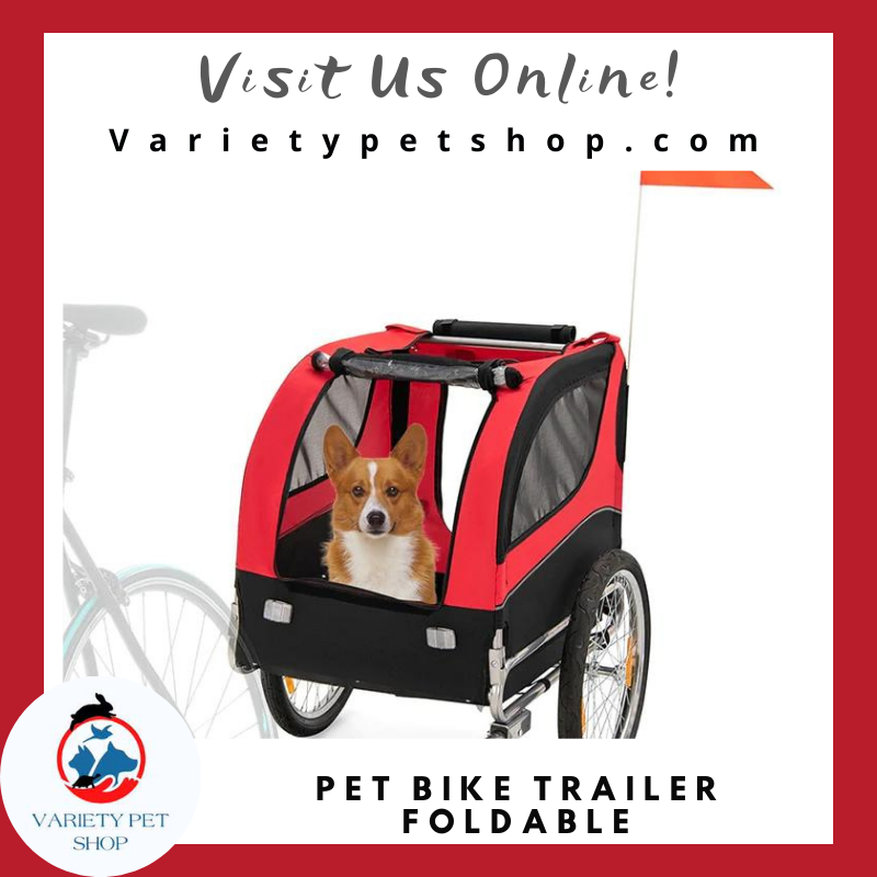Travel? #varietypetshop #bestbikebuddy #pettravel #dog #dogsofinstagram #pettransport #pets #dogtravel #dogs #travel #doglover #puppy  #petfriendly #pet #petdelivery #doglovers #animallovers #petlovers #doglife #traveldog #petsofinstagram #cats #dogtravels #bikeride