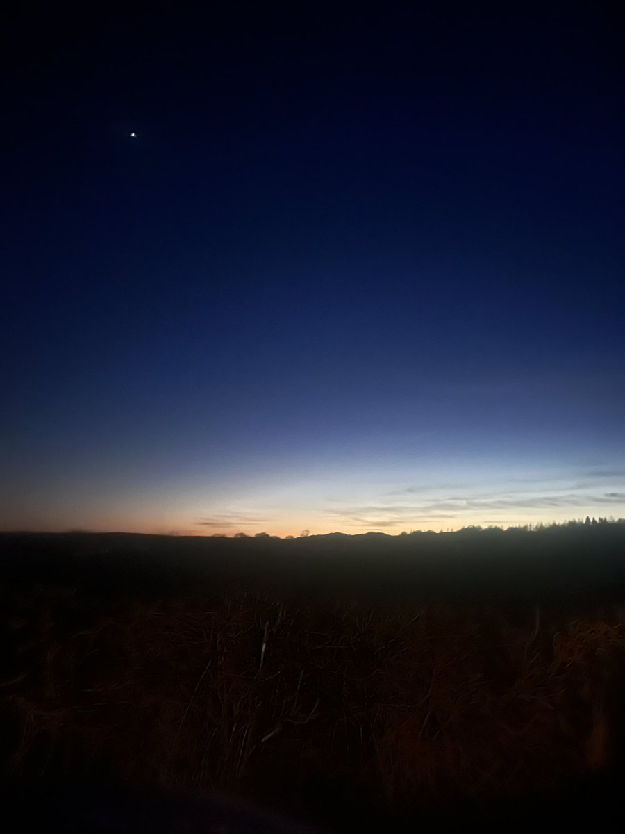 That moment when…you realise it won’t be winter forever ☺️ 
20th January 5.51pm #light