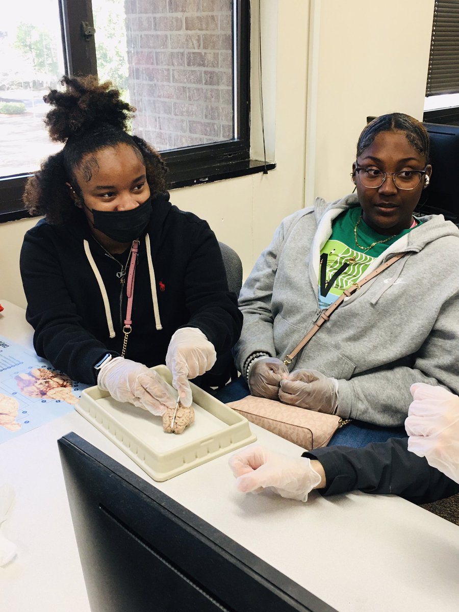 2024RedhawkGU's tweet photo. @WHS_Redhawks 11th Graders gain hands on skills at @USCAiken_STEM Focus Friday dissecting a ๐ ๐ง . @ChooseAiken @USCAiken @RedhawkJackson1 @MrsTNicholson #FutureSTEMmajor @CounselorsatWHS https://t.co/5uDNLznHkF