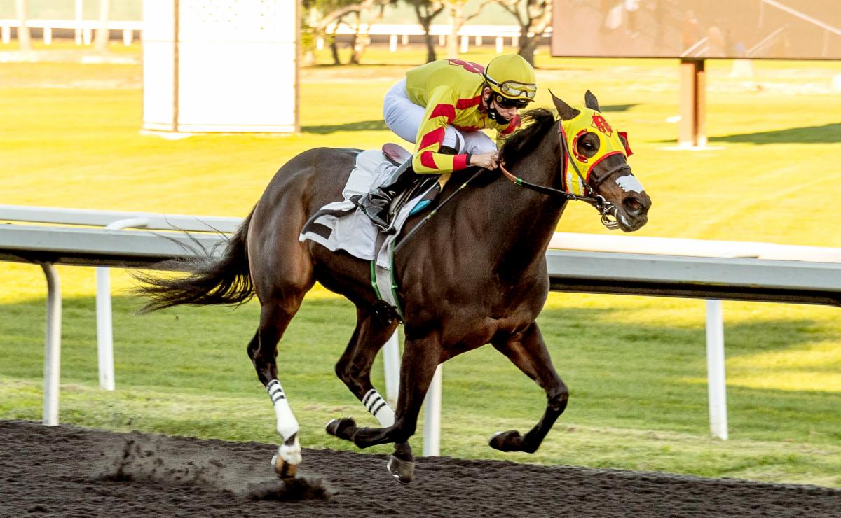 Gate_To_Wire's tweet photo. https://t.co/Ozhb0Ex9Je
RACE ALERT! Don't miss the action https://t.co/m6XO2midfj