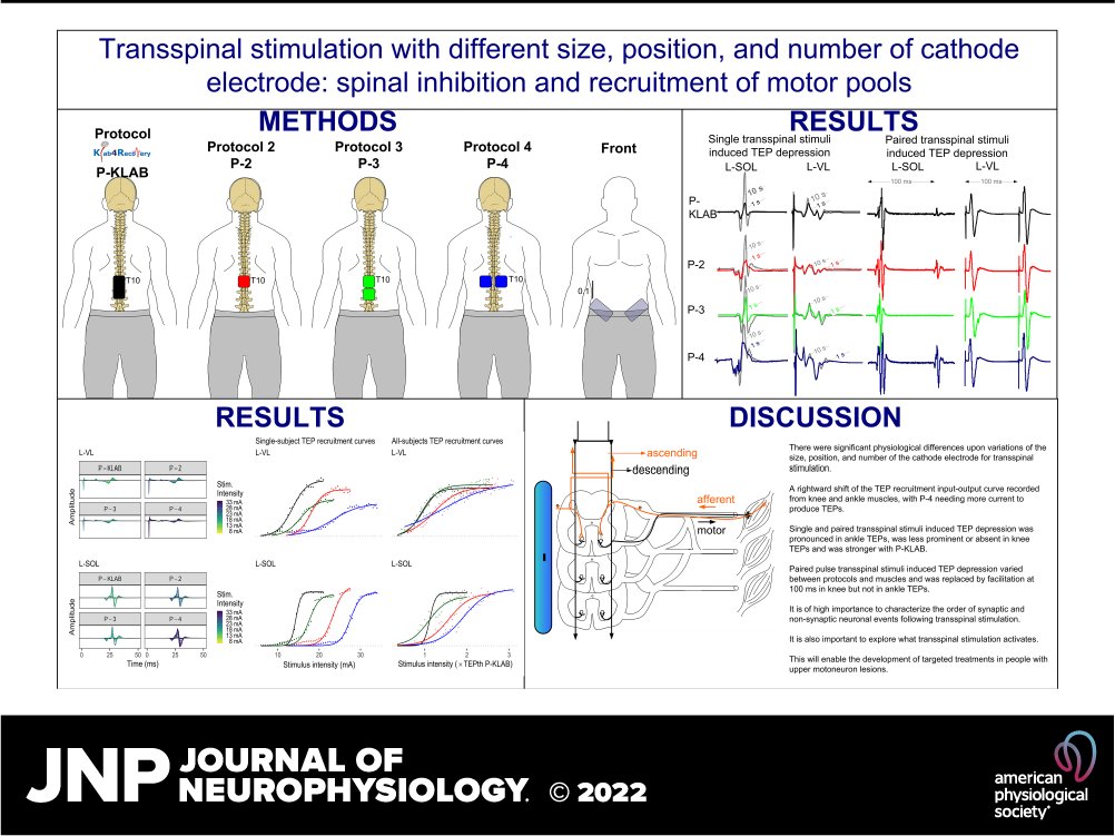 JNeurophysiol's tweet photo. 📖New research in #JNeurophysiol "Physiological effects of cathodal electrode configuration for transspinal stimulation in humans" by Andreas Skiadopoulos (@ASkiadopoulos) et al.
🖱https://t.co/gvgWkWFq2p
#methodology #TransspinalStimulation #TransspinalEvokedpotentials https://t.co/A3ypGb1bIE