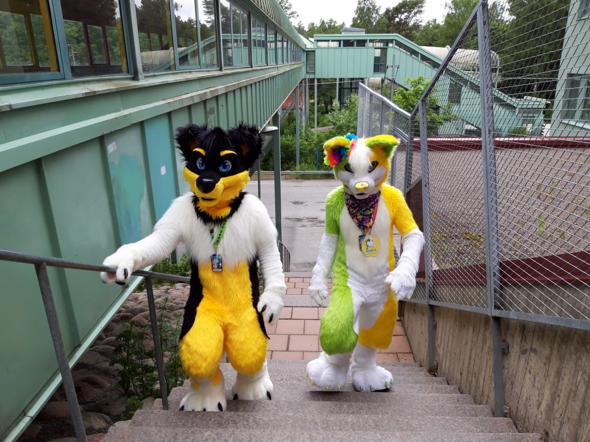 The (good) boys are back in town!
#FursuitFriday 
📸:<a href="/CapehFluff/">Capeh</a> 
✂️: <a href="/MadeFurYou/">Made Fur You</a>, <a href="/Furitup/">🦃🥧Furitup🥧🦃</a>