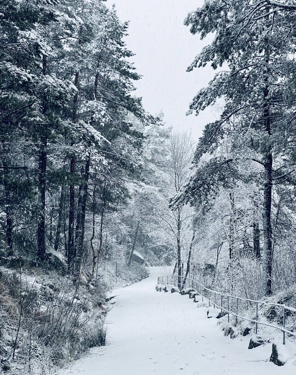tunezpro's tweet photo. Winter in Northern Europe https://t.co/bm1FydCYZ4