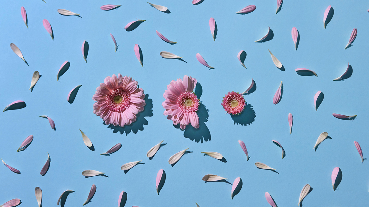 gvanourek's tweet image. Stop Framing #WellnessPrograms Around #SelfCare via @HarvardBiz hbr.org/2022/04/stop-f… #leadership #OrgCulture