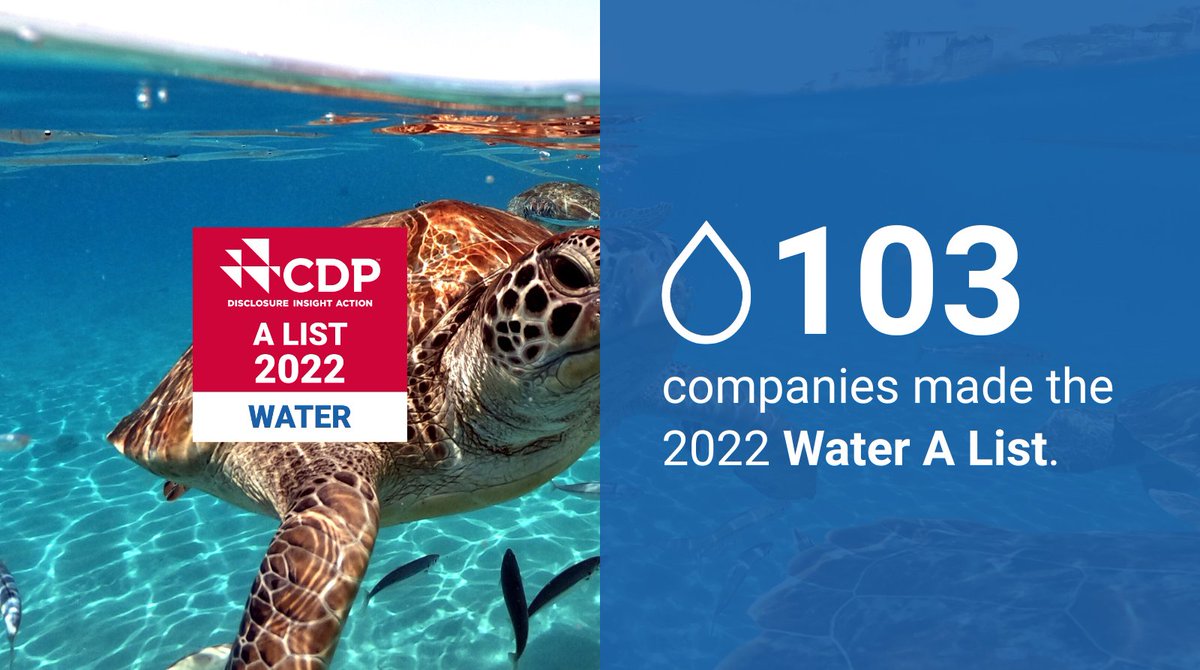 CDP's tweet photo. CDP scored nearly 15,000 companies on their #Climate Change, #Forests and #Water Security disclosures in 2022, and 330+ made the A List. Find out which companies are leading the way in #environmentaltransparency: https://t.co/tpSfyqiHX1 #climatechange https://t.co/wvWA1nnbeT