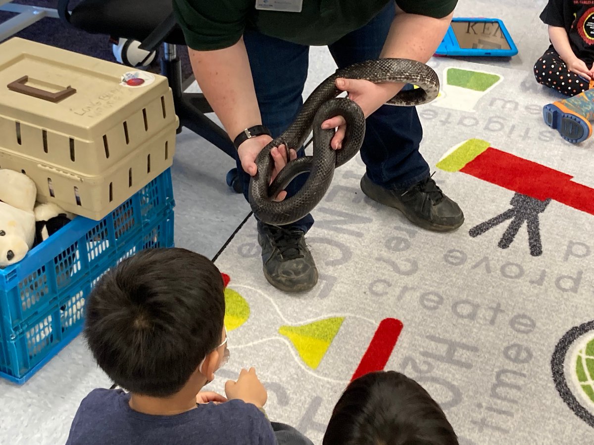A big thank you to Long Branch Nature Center for bringing friendly animals to visit some of our Pre-K students! <a target='_blank' href='https://t.co/elr5h43V6r'>https://t.co/elr5h43V6r</a>