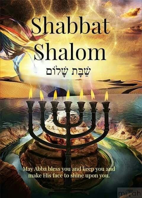 🌼Andrea אהבה (Love)🌼 on X: 🌿🌼 Shabbat #Shalom