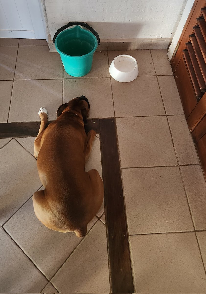 Zenclussen's tweet photo. Día 1 haciendo dieta. https://t.co/PGiSzymK5J